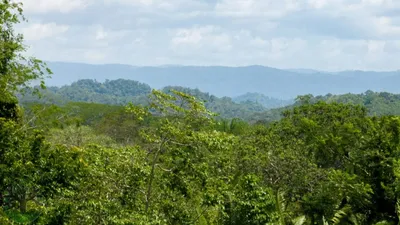 A STUNNING 3-ACRE PARCEL WITH FRONTAGE ON THE ROARING RIVER, 🇧🇿 Belize
