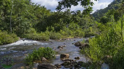 A STUNNING 20-ACRE RIVERFRONT PROPERTY BEYOND HUMMINGBIRD HIGHWAY AREA!, 🇧🇿 Belize