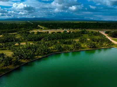 Sapodilla Ridge Properties Red Rock, 🇧🇿 Belize