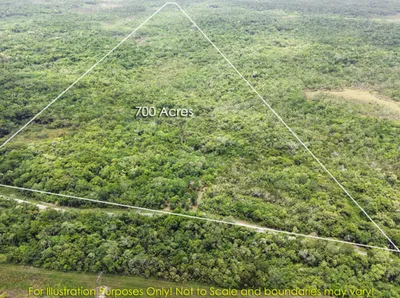 700-Acre Investment Land with Mixed Hardwood on Maskall Road, Belize, 🇧🇿 Belize