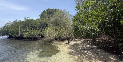 9.986 Acres of Prime Island Paradise in the North End of Rocky Point, 🇧🇿 Belize
