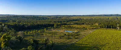 85-ACRE RANCH WITH CREEKFRONT & PONDS IN WESTERN BELIZE!, 🇧🇿 Belize