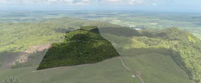 50-ACRE MOUNTAIN PROPERTY W/ FRUIT TREES OFF HUMMINGBIRD HWY!, 🇧🇿 Belize