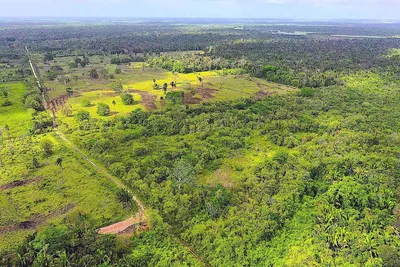 257-Acre Waterfront Ranch for Sale in the Belize River Valley, Belize, 🇧🇿 Belize