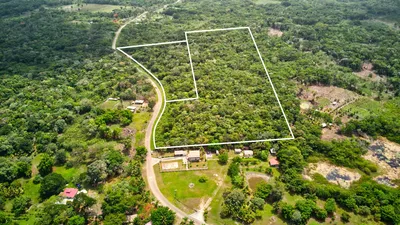 18.958 Acre Farmland near Altun Ha Maya Ruin just off Old Northern Highway, 🇧🇿 Belize