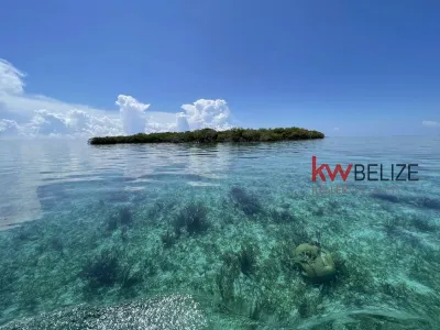 Price Reduction: .25 Acre Island off Placencia Peninsula, 🇧🇿 Belize