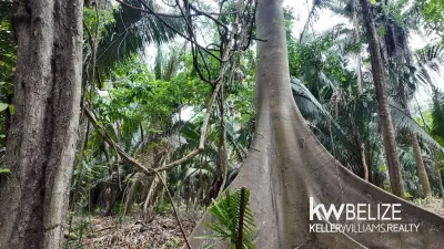 10 Acres in Southern Belize, 🇧🇿 Belize