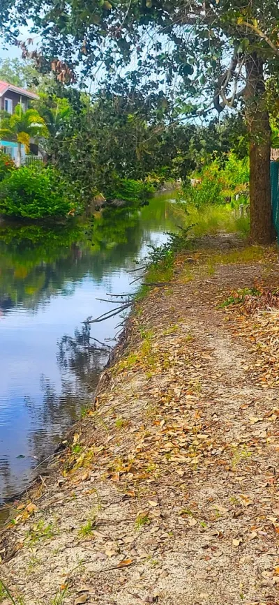 Canal Front Lot Cleared, 🇧🇿 Belize