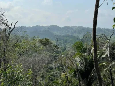#56VG+66F Belmopan, Belize, 🇧🇿 Belize