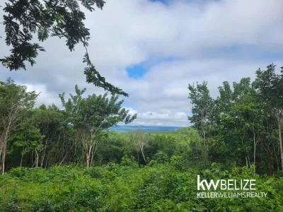 7 BEAUTIFUL ACRES IN CALLA CREEK, 🇧🇿 Belize