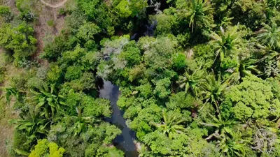 Lot 14, 15, 🇧🇿 Belize