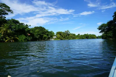 Lot 8 and 9, Sittee River, 🇧🇿 Belize