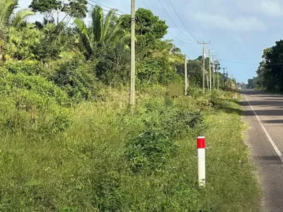 1506 Road‑Frontage Lots – Hopkins Road Subdivision (The Oaks) High‑Visibility • Mixed‑Use Potential • Minutes from Hopkins, 🇧🇿 Belize