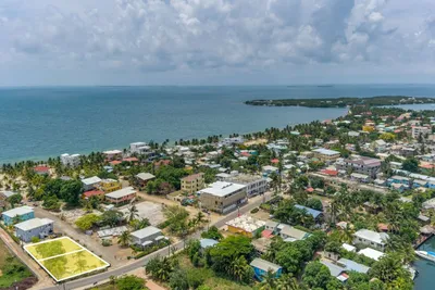 Lot 1 Hibiscus, 🇧🇿 Belize
