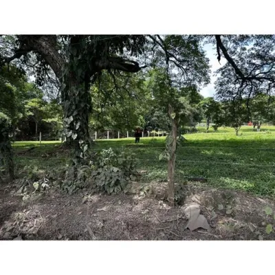 VENTA DE LOTE, ALAJUELA, ALAJUELA, TURRUCARES, 🇨🇷 Costa Rica