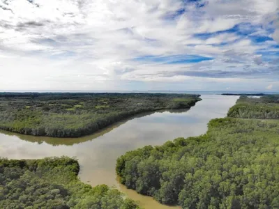 SAN FÉLIX TERRENO DE GRAN EXTENSIÓN EN VENTA, 🇵🇦 Panama