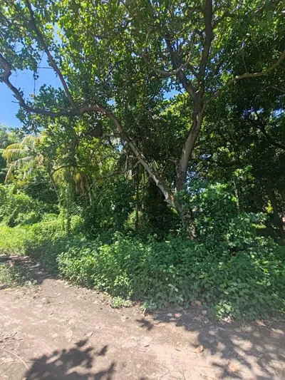 GANGA de terreno en Crangrejera La Libertad, 🇸🇻 El Salvador