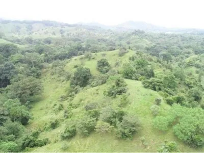Venta Finca ganadera Viento Frio, Colón 26GC5840, 🇵🇦 Panama