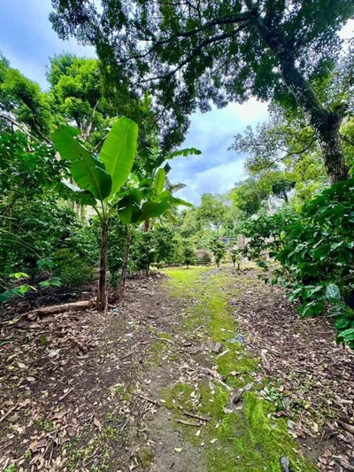 Finca de 9 manzanas a 25 minutos de Santa Tecla, 🇸🇻 El Salvador