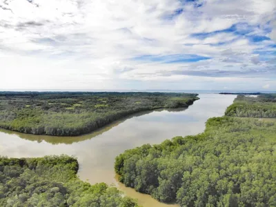 SE VENDE FINCA DE 1,200 HECTÁREAS EN SAN FELIX-CHIRIQUI, 🇵🇦 Panama