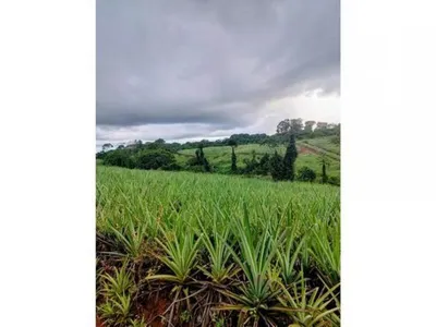 VENTA DE FINCA, HEREDIA, SARAPIQUÍ, GOLFITO, LA CUREÑA, 🇨🇷 Costa Rica