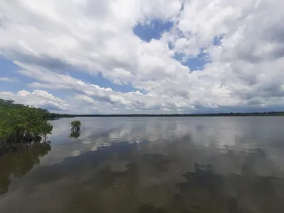 Venta Terreno Vacacional En La Bahía De Jiquilisco; Idi: 138845, 🇸🇻 El Salvador