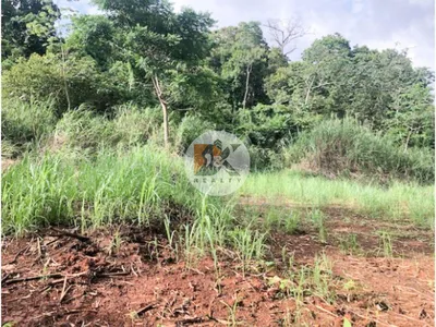 Se Vende Terreno de 9,144 m2 en Corozal, Ancón, 🇵🇦 Panama