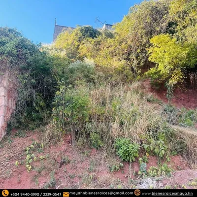¡Se vende lote en Res. Palmeras de San Ignacio! 🌴, 🇭🇳 Honduras