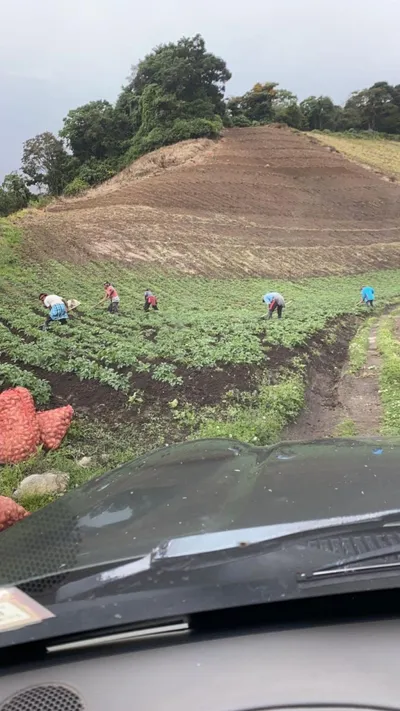 TERRENO UBICADO EN CERRO PUNTA, CORREGIMIENTO DE VILLAS, 🇵🇦 Panama