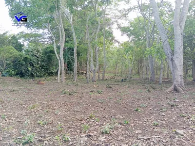 EN VENTA LOTES DE TERRENO EN JINOTEPE CARAZO, 🇳🇮 Nicaragua