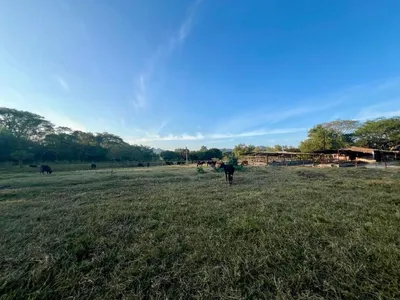 31 Manzanas En Venta En El Porvenir Santa Ana; Idi: 141487, 🇸🇻 El Salvador