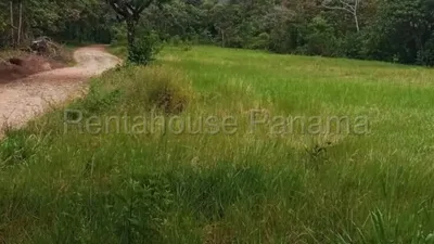 Venta de terreno 1.7ha en Caldera, Chiriqui 25GC4405, 🇵🇦 Panama