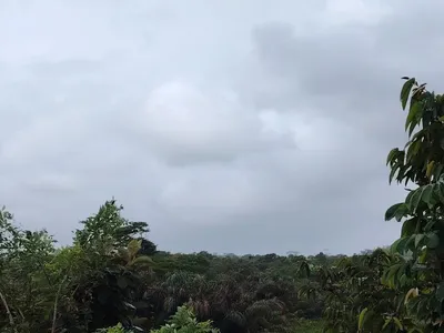 Venta de finca ganadera agricola Nombre de Dios, Colón 26GC5886, 🇵🇦 Panama