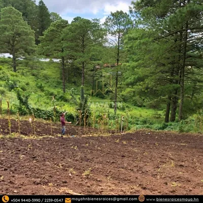 Se vende terreno en El Zamorano, Francisco Morazán, Honduras!, 🇭🇳 Honduras