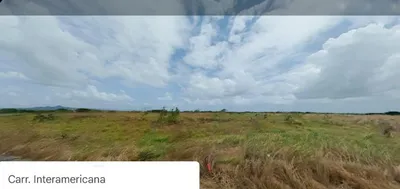 Se Vende Finca de 100 Hectáreas en Penonomé, Via Panamericana, 🇵🇦 Panama