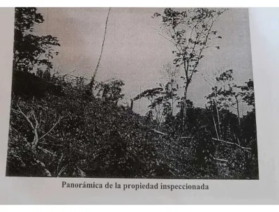 Own 191 Acres on Panama's Wild Tuira River – $100K, 🇵🇦 Panama