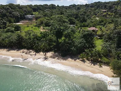 Beachfront Paradise Awaits: 2,104 sqft Lot Red Frog Beach Bocas del Toro, 🇵🇦 Panama