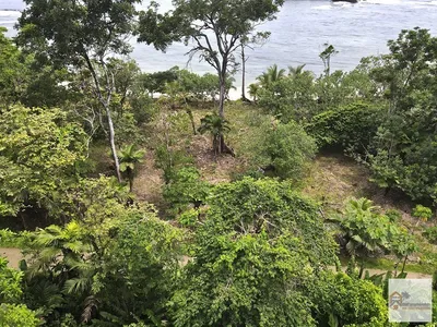 Pristine Beachfront Land Red Frog Beach Bocas del Toro $410K Investment, 🇵🇦 Panama