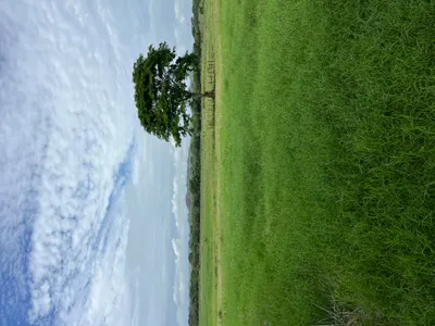 15.4 Hectares of Paradise: Mountain View Land in Chitré, Herrera, 🇵🇦 Panama