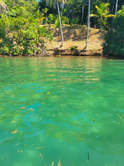 Caribbean Waterfront Estate Punta Laurel - 7.9 Acres + 120m Private Beach, 🇵🇦 Panama