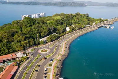 Oceanview Condo Amador Causeway | Panama Sovereign Realty, 🇵🇦 Panama