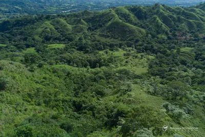 186ha Land for Sale Near Cambutal | Panama Sovereign Realty, 🇵🇦 Panama