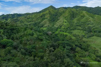 32-Acres Near Cambutal | Panama Sovereign Realty, 🇵🇦 Panama
