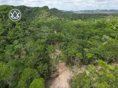 PL0162 – A conservation estate community in Coastal Belize, 🇧🇿 Belize