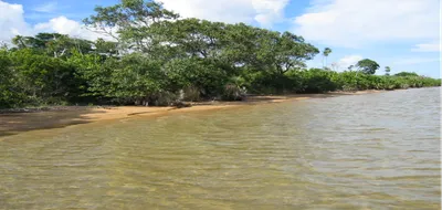 PL0172 – 200 Acres of Untouched Beachfront Near Sapodilla Lagoon, 🇧🇿 Belize