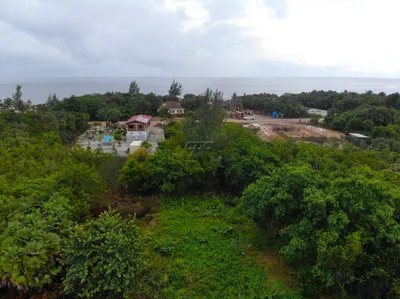 Caribbean Way Lot #382, 🇧🇿 Belize