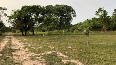 One acre lots for sale in Corozal, 🇧🇿 Belize
