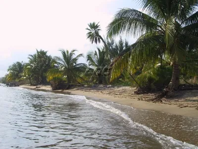 Private Beachfront Oasis in Punta Negra, 🇧🇿 Belize
