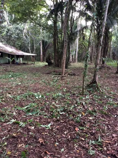 30.81 Acres in Boom Creek Village, 🇧🇿 Belize