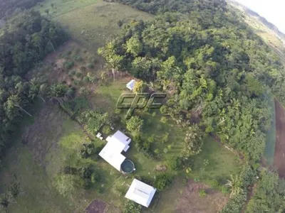 70 acre Farm with fruit production and 3 buildings, 🇧🇿 Belize